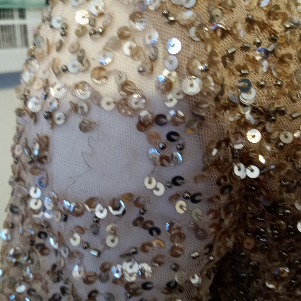 Gorgeous Gold/Taupe Formal Dress - Picture 6 of 6
